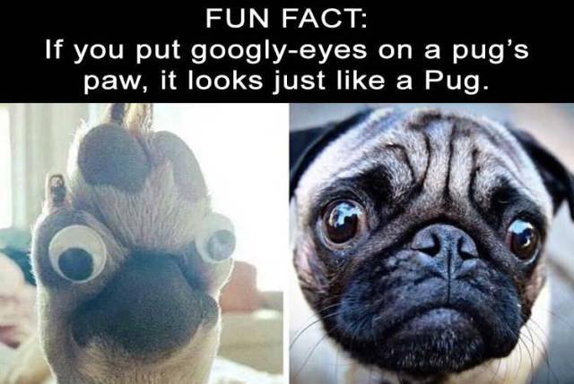 Bildschirmarbeiter - Picdump 02.03.2018