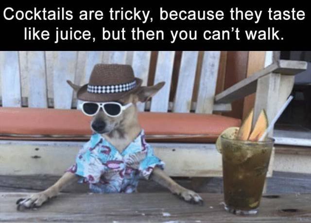 Bildschirmarbeiter - Picdump 02.03.2018