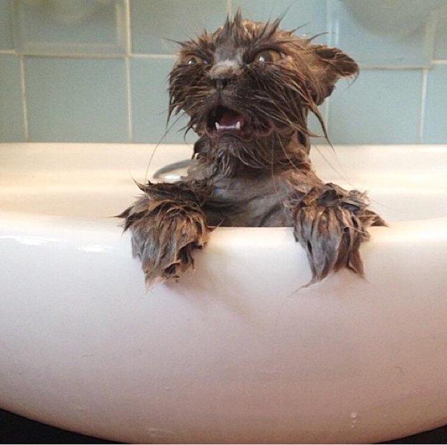 Bildschirmarbeiter - Picdump 02.03.2018