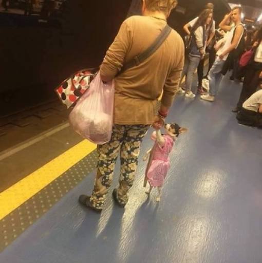 Bildschirmarbeiter - Picdump 02.03.2018