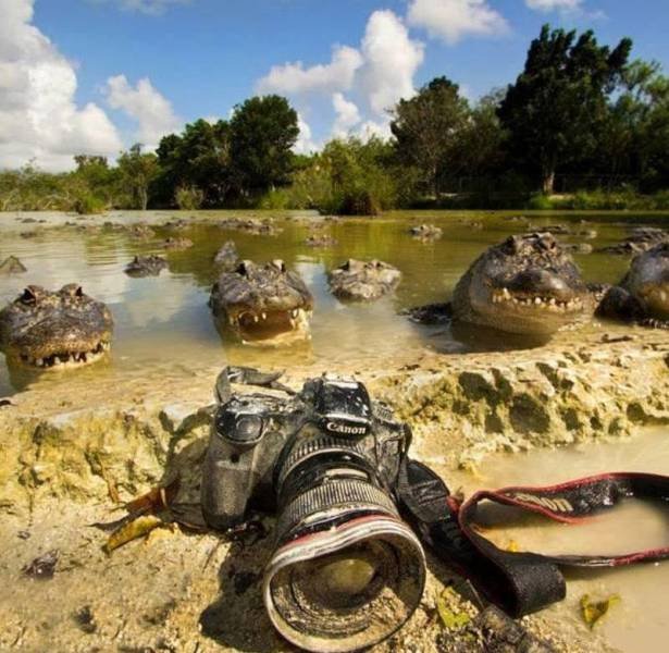 Bildschirmarbeiter - Picdump 02.03.2018