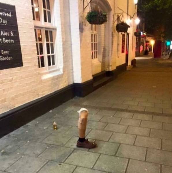 Bildschirmarbeiter - Picdump 02.03.2018