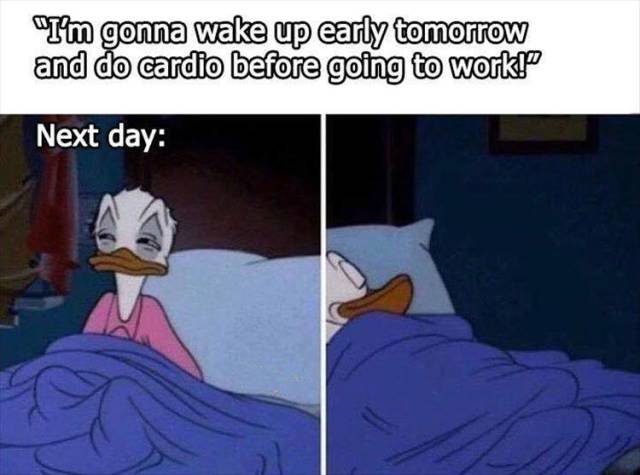 Bildschirmarbeiter - Picdump 09.03.2018