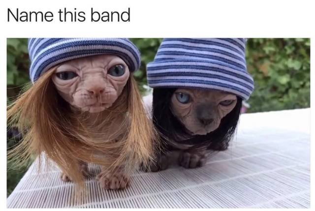 Bildschirmarbeiter - Picdump 09.03.2018