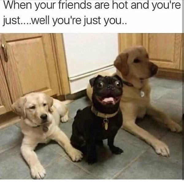 Bildschirmarbeiter - Picdump 09.03.2018