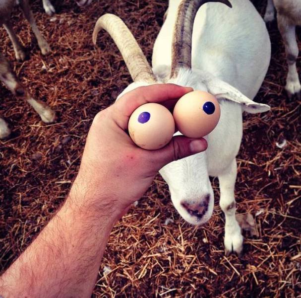 Bildschirmarbeiter - Picdump 09.03.2018