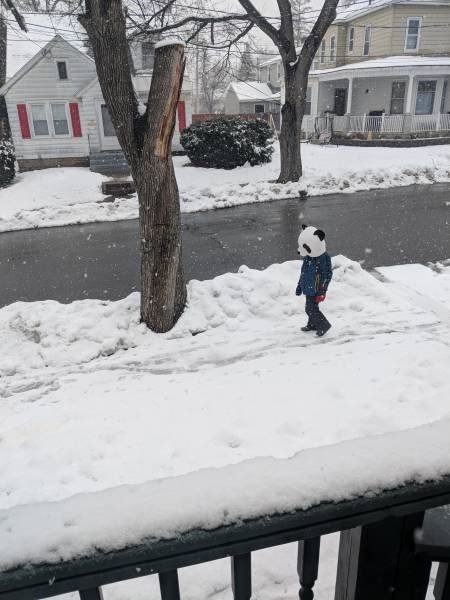 Bildschirmarbeiter - Picdump 09.03.2018