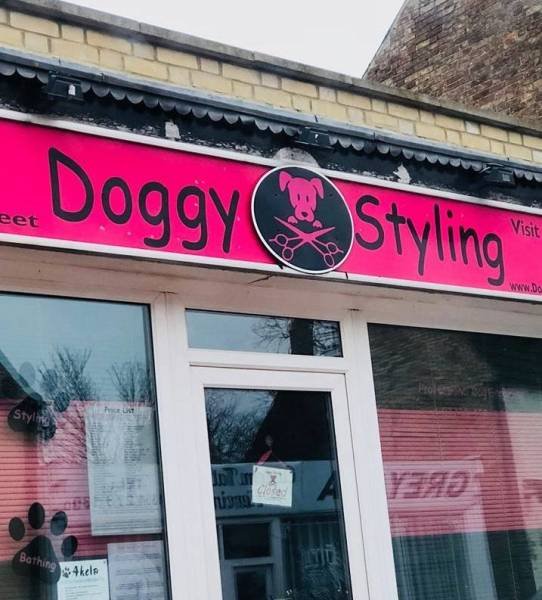 Bildschirmarbeiter - Picdump 09.03.2018