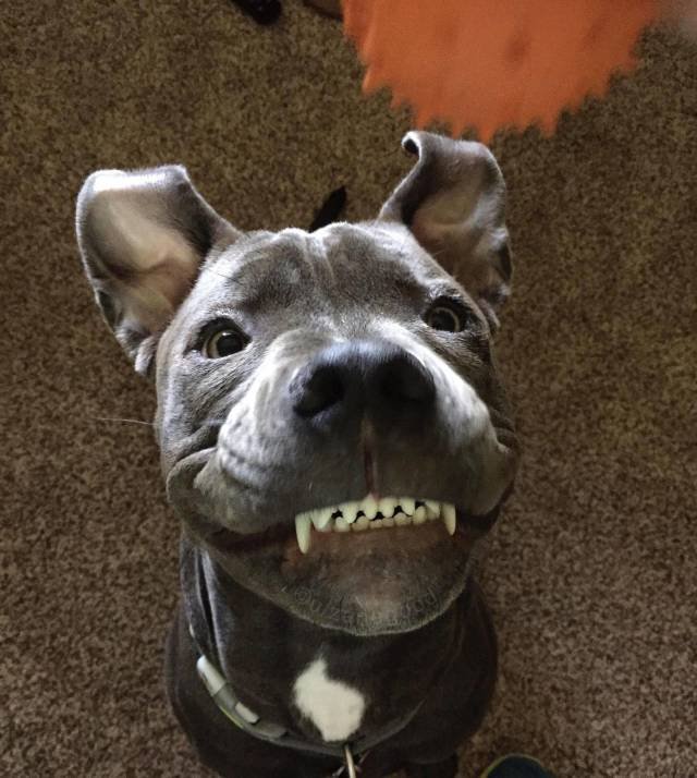 Bildschirmarbeiter - Picdump 16.03.2018