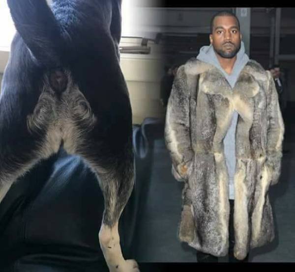 Bildschirmarbeiter - Picdump 16.03.2018