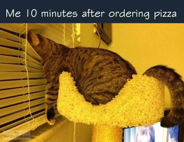 Bildschirmarbeiter - Picdump 16.03.2018