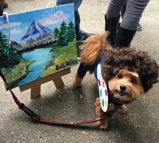 Bildschirmarbeiter - Picdump 16.03.2018