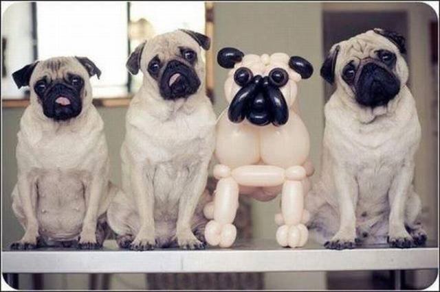 Bildschirmarbeiter - Picdump 16.03.2018