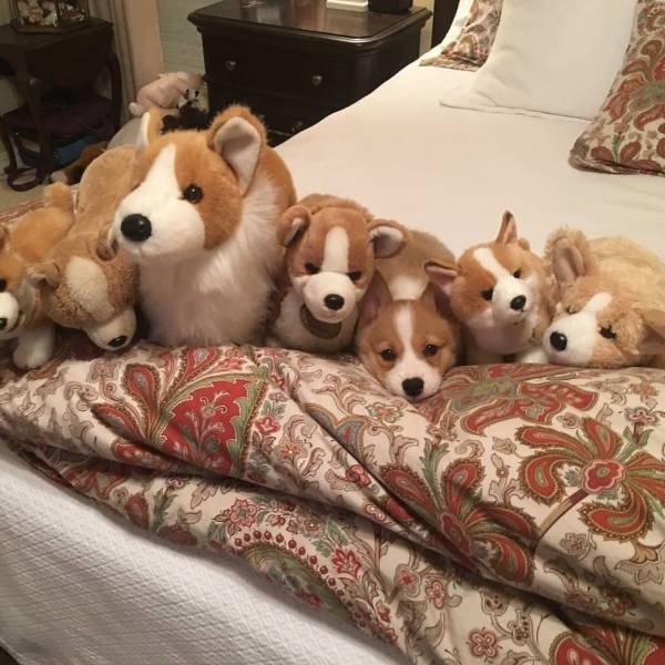 Bildschirmarbeiter - Picdump 16.03.2018