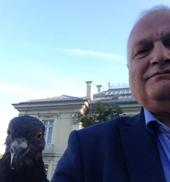 Bildschirmarbeiter - Picdump 23.03.2018