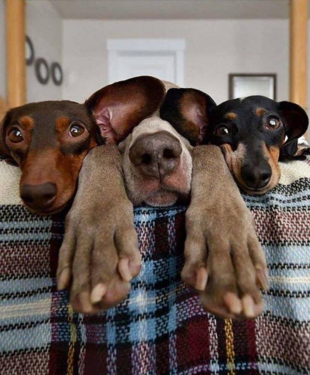 Bildschirmarbeiter - Picdump 23.03.2018