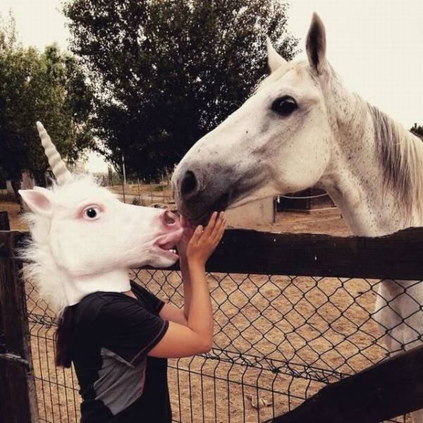 Bildschirmarbeiter - Picdump 23.03.2018