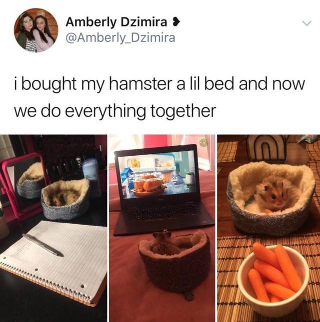 Bildschirmarbeiter - Picdump 23.03.2018