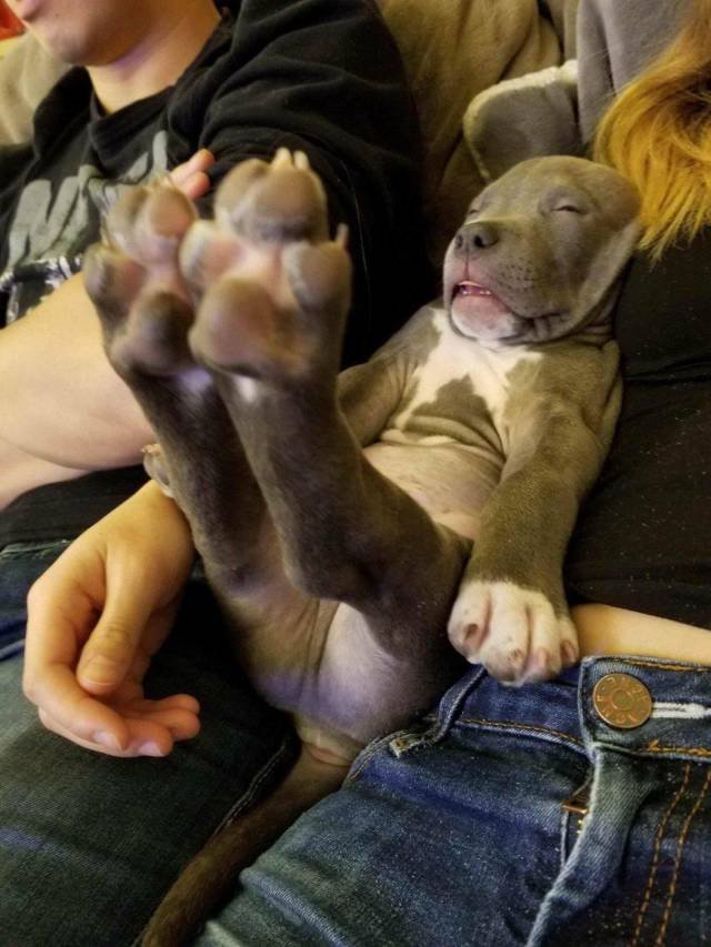 Bildschirmarbeiter - Picdump 23.03.2018