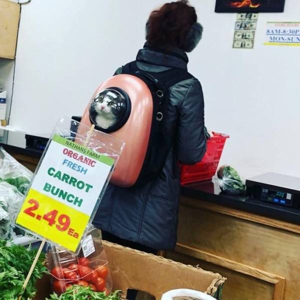 Bildschirmarbeiter - Picdump 23.03.2018