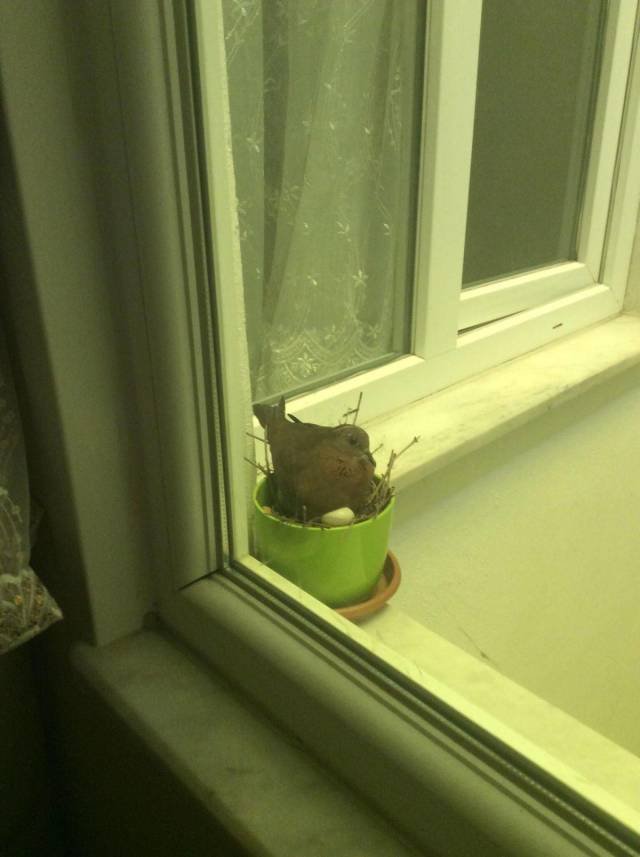 Bildschirmarbeiter - Picdump 23.03.2018