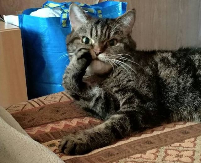 Bildschirmarbeiter - Picdump 23.03.2018