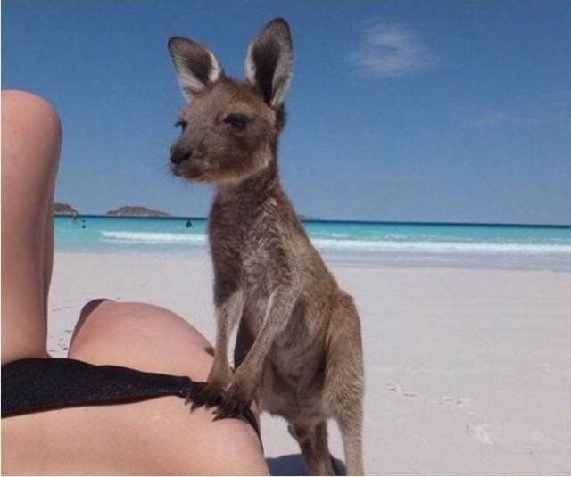 Bildschirmarbeiter - Picdump 23.03.2018