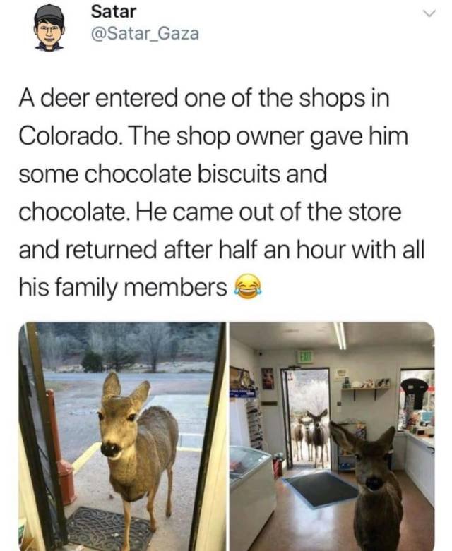 Bildschirmarbeiter - Picdump 23.03.2018