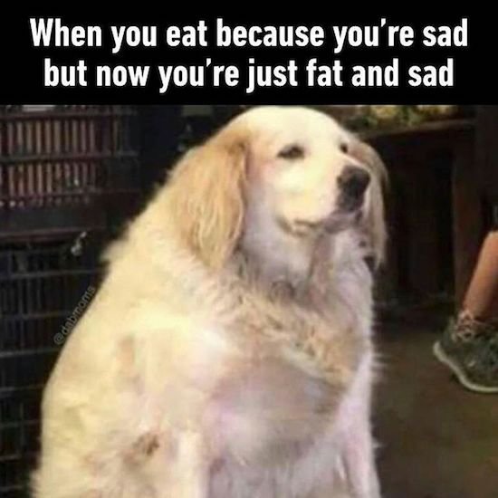 Bildschirmarbeiter - Picdump 23.03.2018