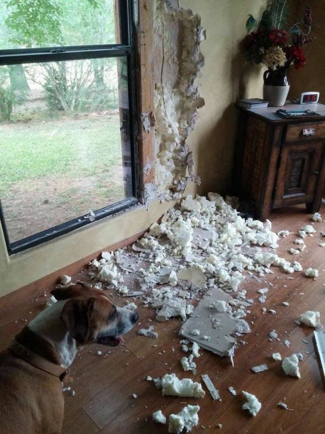 Bildschirmarbeiter - Picdump 30.03.2018