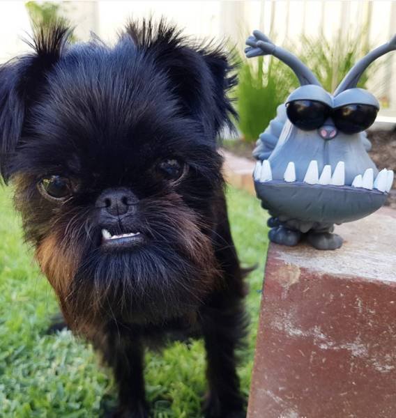 Bildschirmarbeiter - Picdump 30.03.2018