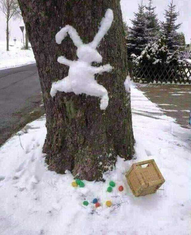 Bildschirmarbeiter - Picdump 30.03.2018