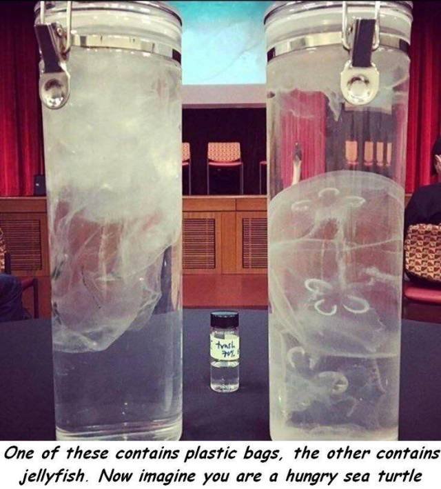 Bildschirmarbeiter - Picdump 30.03.2018