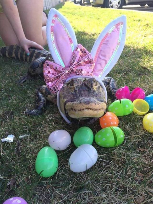 Bildschirmarbeiter - Picdump 30.03.2018