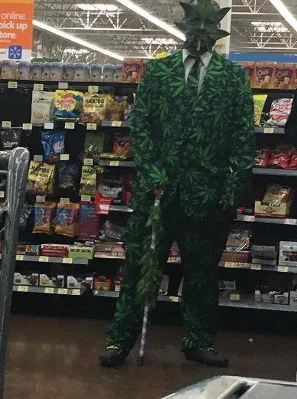 Bildschirmarbeiter - Picdump 30.03.2018