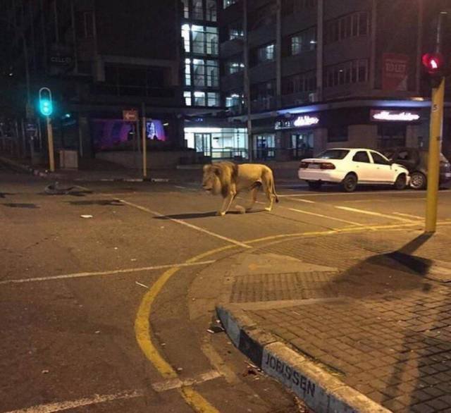 Bildschirmarbeiter - Picdump 30.03.2018