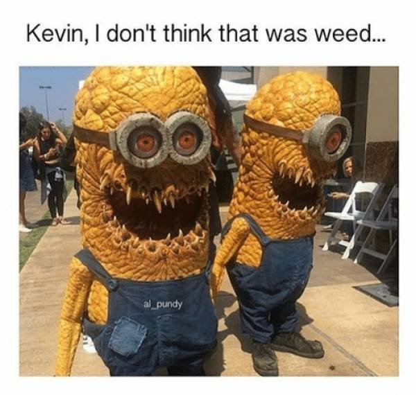 Bildschirmarbeiter - Picdump 30.03.2018