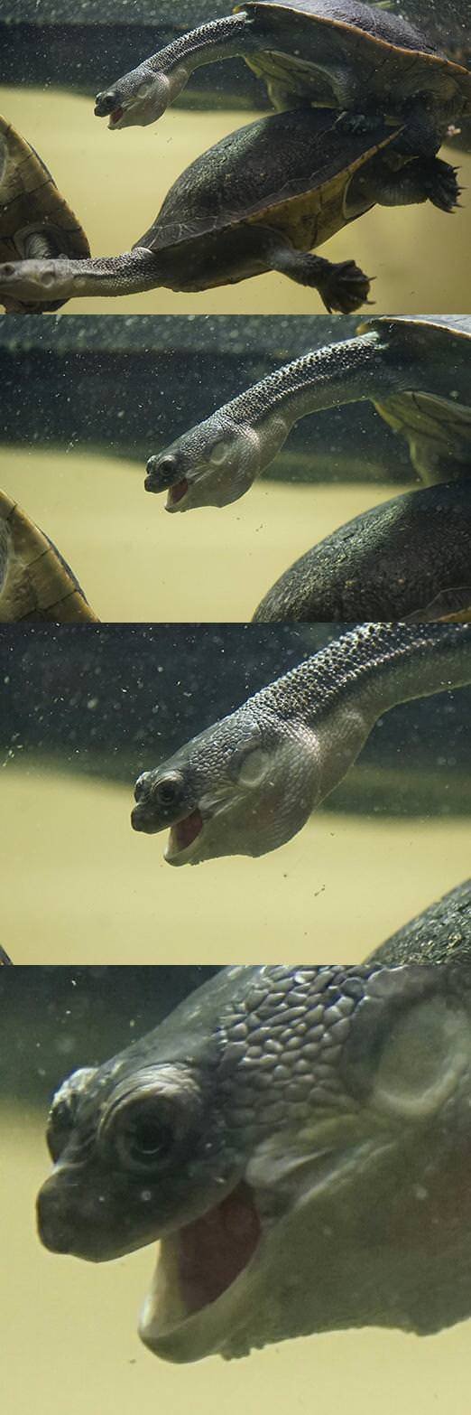 Bildschirmarbeiter - Picdump 30.03.2018