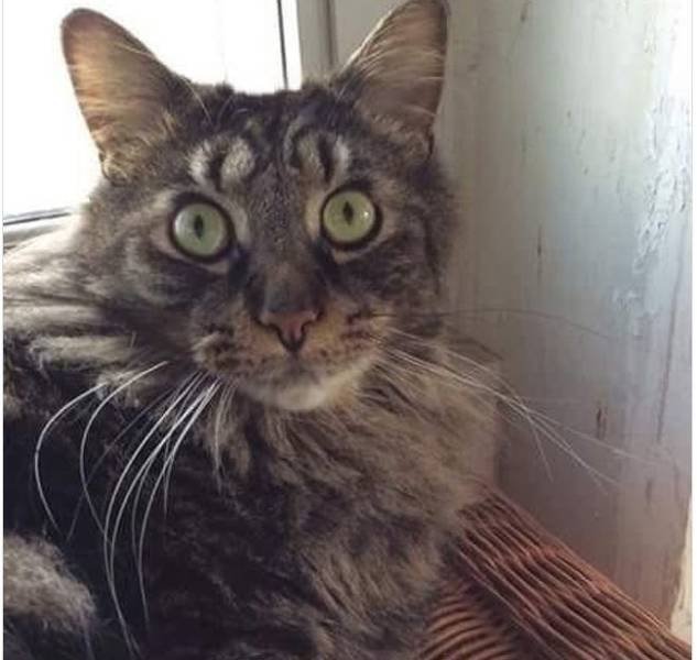 Bildschirmarbeiter - Picdump 30.03.2018