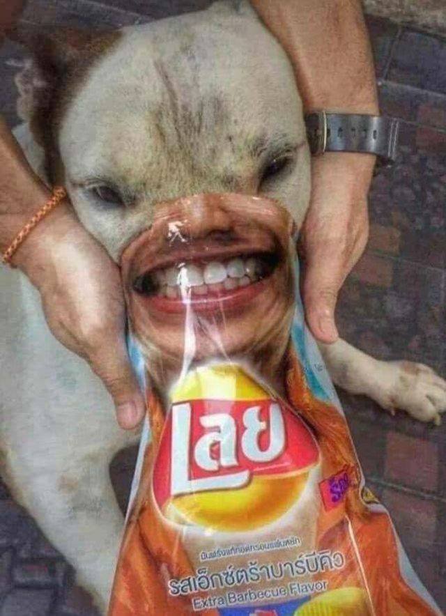 Bildschirmarbeiter - Picdump 30.03.2018