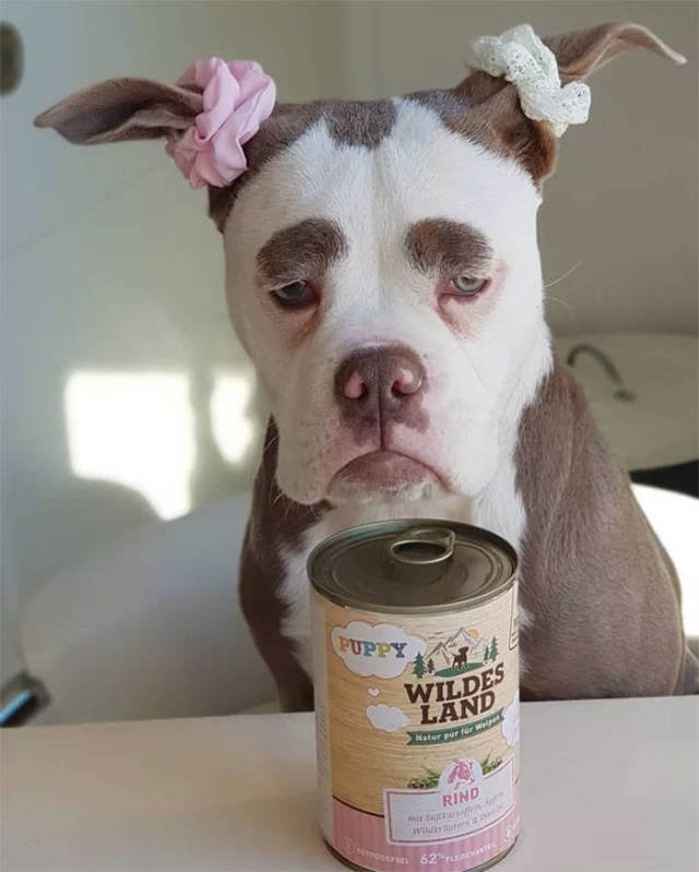 Bildschirmarbeiter - Picdump 06.04.2018 - NACHSCHLAG