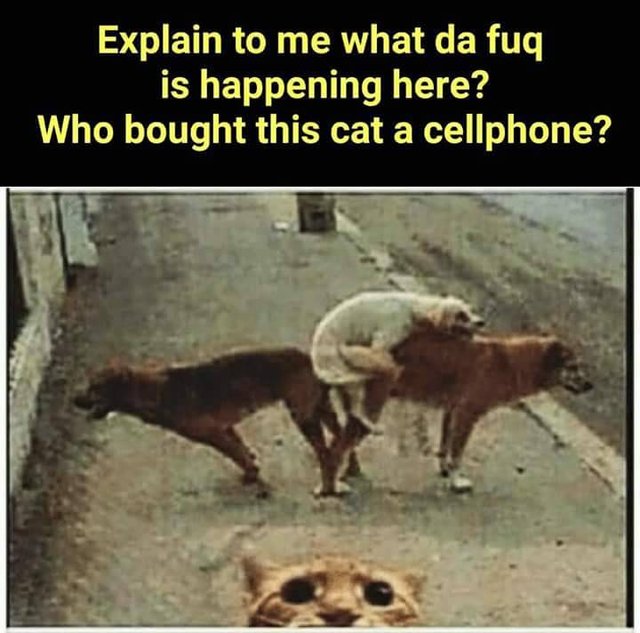 Bildschirmarbeiter - Picdump 06.04.2018 - NACHSCHLAG