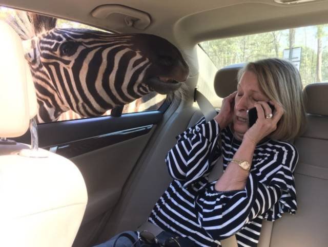 Bildschirmarbeiter - Picdump 06.04.2018 - NACHSCHLAG