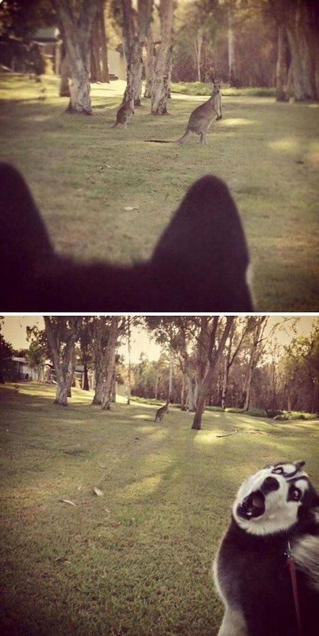 Bildschirmarbeiter - Picdump 06.04.2018