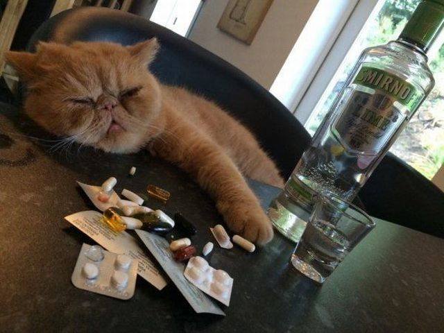 Bildschirmarbeiter - Picdump 06.04.2018