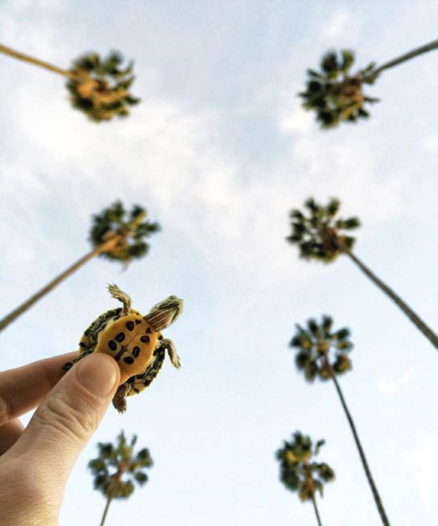 Bildschirmarbeiter - Picdump 06.04.2018