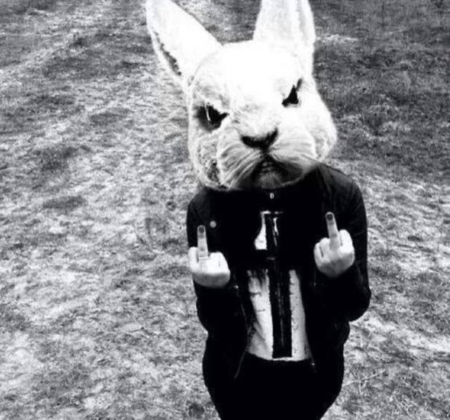 Bildschirmarbeiter - Picdump 06.04.2018