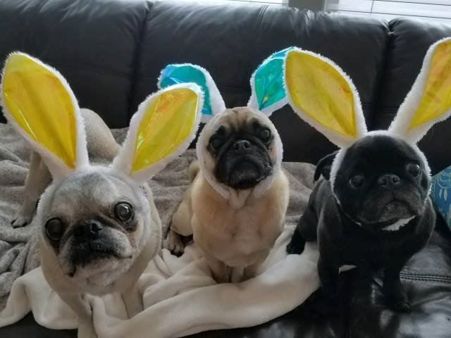 Bildschirmarbeiter - Picdump 06.04.2018