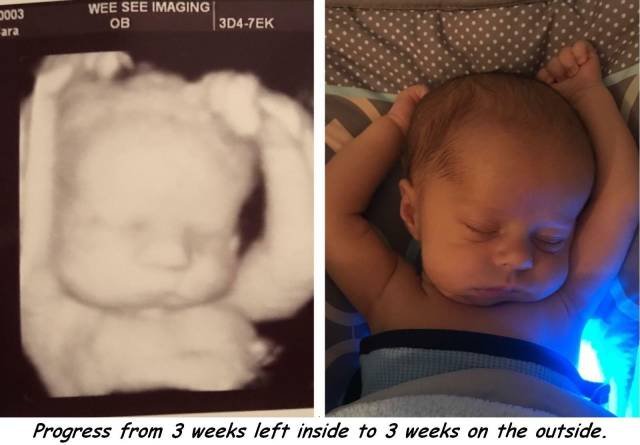 Bildschirmarbeiter - Picdump 06.04.2018