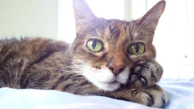 Bildschirmarbeiter - Picdump 06.04.2018